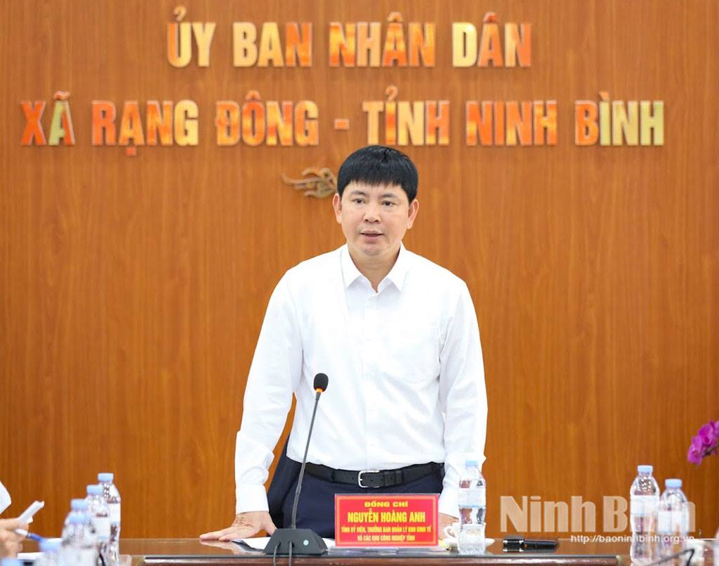 anh tin bai